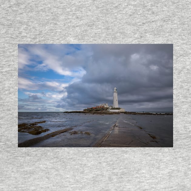 St Mary's Island Reflections by Violaman